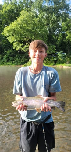 Full Day or Half Day Guided Trip in Broken Bow