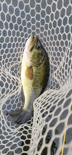 Full Day or Half Day Guided Trip in Broken Bow