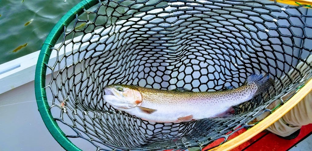 Full Day or Half Day Guided Trip in Broken Bow
