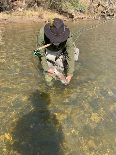 Full Day or Half Day Guided Trip in Broken Bow