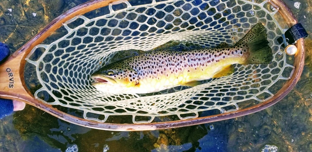 Full Day or Half Day Guided Trip in Broken Bow
