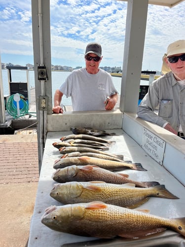 Galveston, TX Bay Fishing Charters  | Captain Experiences In Hitchcock