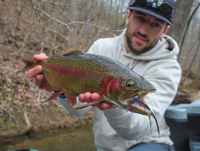 Tailwater Trout In Johnson City