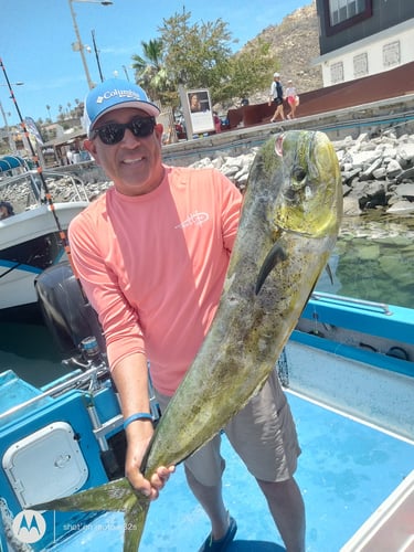 Classic Cabo Sportfish Trip In Cabo San Lucas