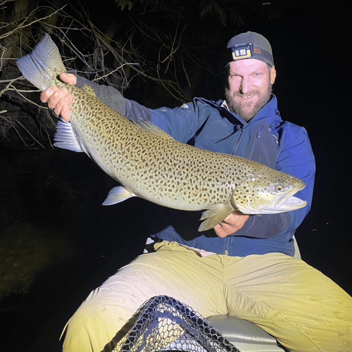 Premier Nighttime Trout Fishing In South Boardman