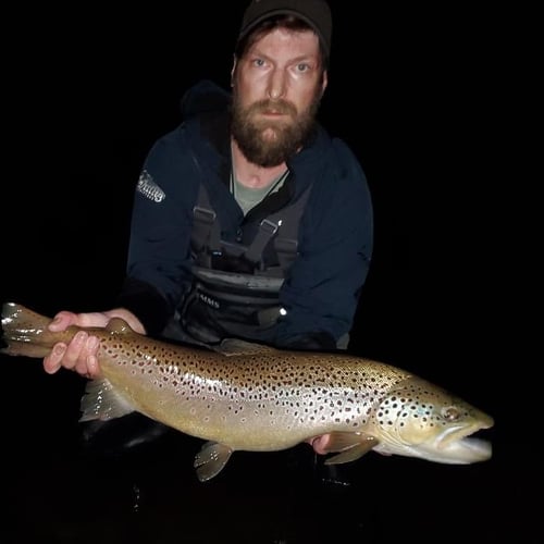 Premier Nighttime Trout Fishing In South Boardman