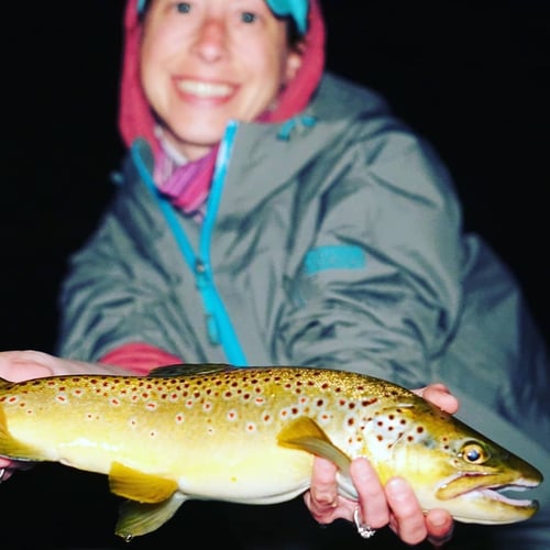 Premier Nighttime Trout Fishing In South Boardman