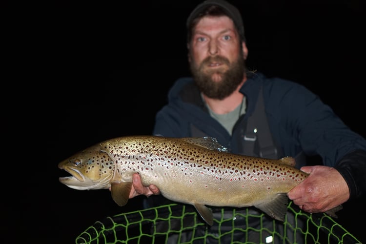 Premier Nighttime Trout Fishing In South Boardman