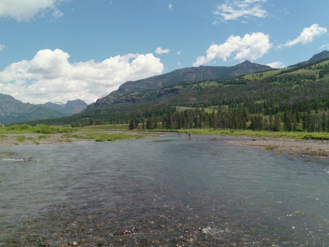 Soda Butte Walk-and-Wade In Yellowstone In Yellowstone National Park
