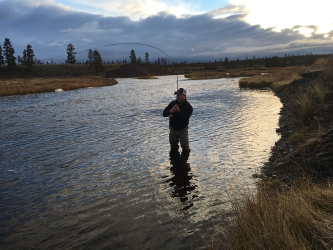 Madison River Walk-n-Wade In Yellowstone In West Yellowstone