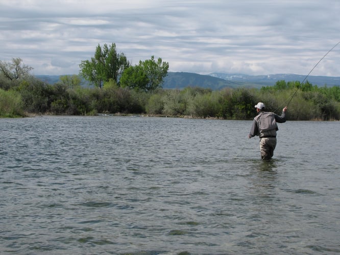 Bighorn River Full-Day Walk-n-Wade In Fort Smith