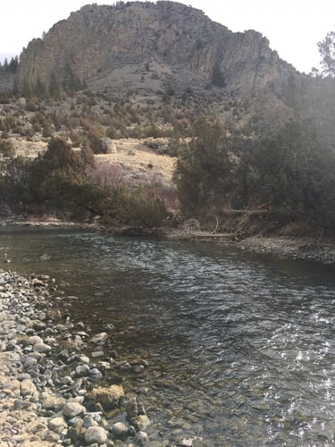 Ruby River Walk-n-Wade In Alder