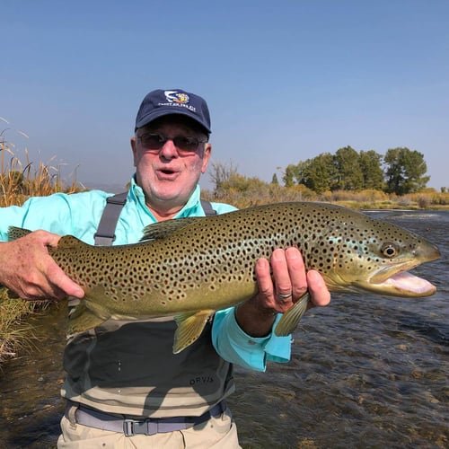 Bighorn River Full-Day Walk-n-Wade In Fort Smith