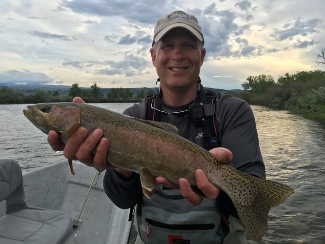 Bighorn River Full-Day Walk-n-Wade In Fort Smith