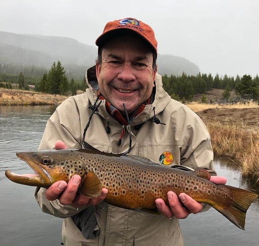 Madison River Walk-n-Wade In Yellowstone In West Yellowstone