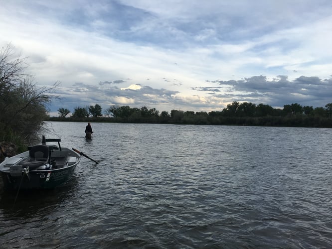 Bighorn River Full-Day or Half-Day Float