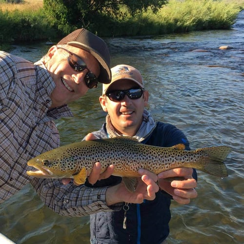 Gallatin River Walk-n-Wade In Yellowstone In Gallatin Gateway