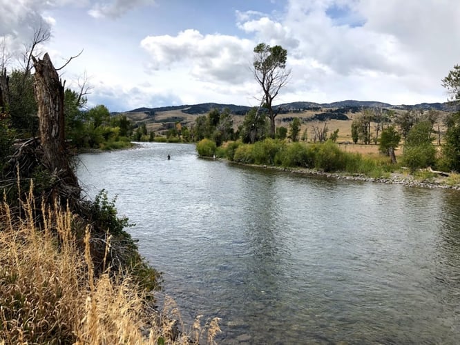 Gallatin River Walk-n-Wade In Yellowstone In Yellowstone National Park