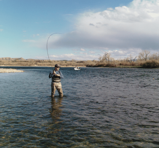 Bighorn River Full-Day Walk-n-Wade In Fort Smith