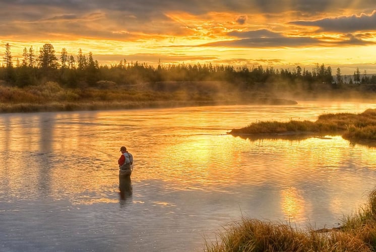 Madison River Walk-n-Wade In Yellowstone In West Yellowstone