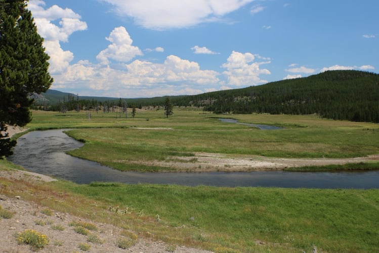 Gibbon River Walk-n-Wade in Yellowstone National Park