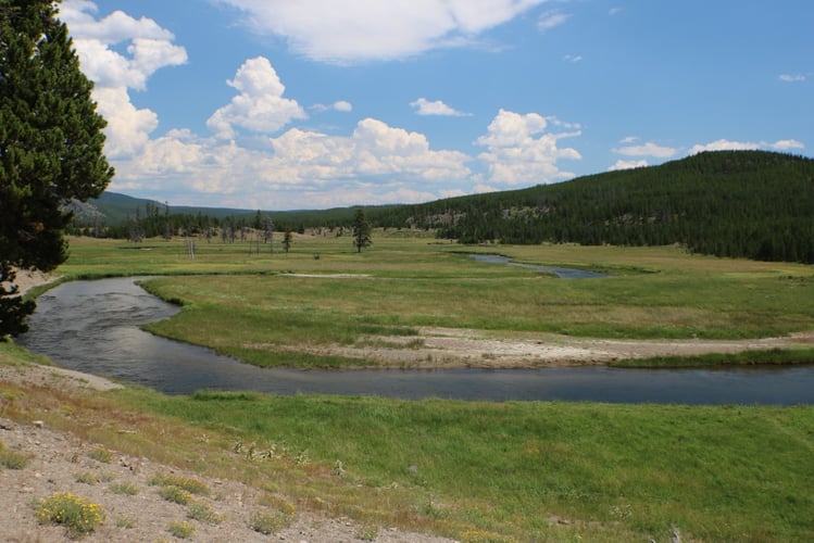 Gibbon River Walk-n-Wade In Yellowstone In Yellowstone National Park