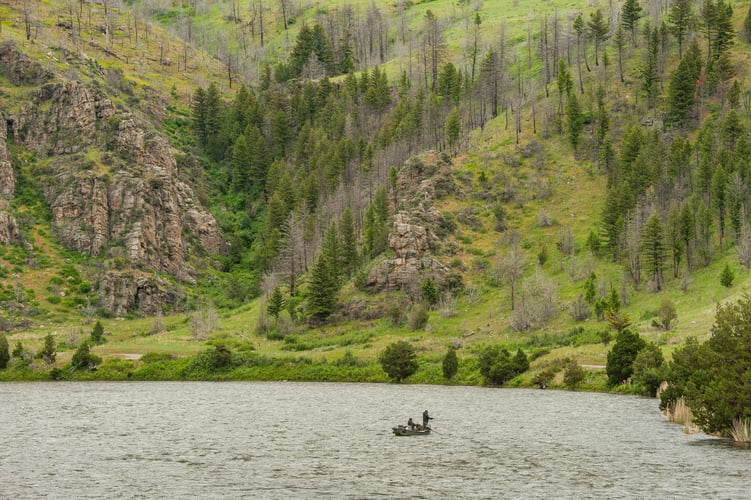 Madison River Float Trip in Madison River