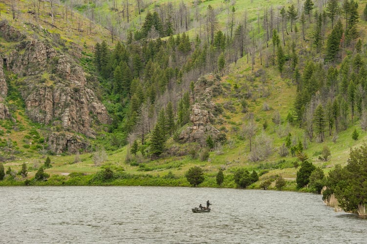 Madison River Float Trip In Madison River