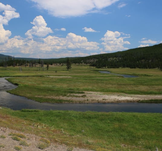 Gibbon River Walk-n-Wade In Yellowstone In Yellowstone National Park