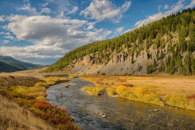 Gallatin River Walk-n-Wade In Yellowstone In Yellowstone National Park