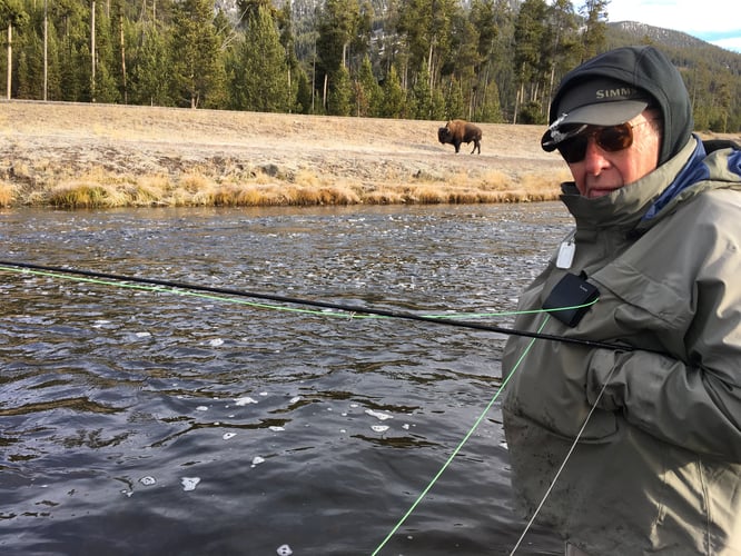 Madison River Walk-n-Wade In Yellowstone In West Yellowstone