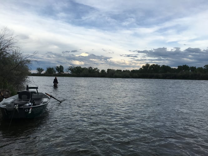 Bighorn River Full-Day Walk-n-Wade In Fort Smith