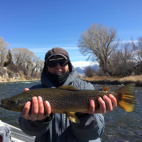 Yellowstone River Float In Yellowstone River