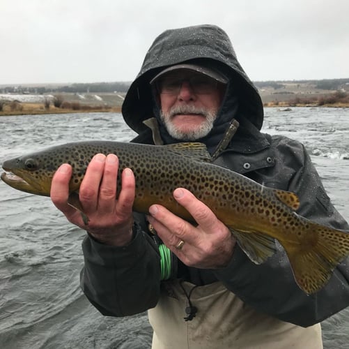 Madison River Float Trip In Madison River