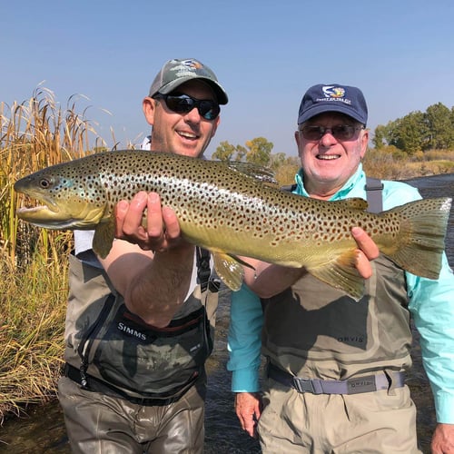 Bighorn River Full-Day Walk-n-Wade In Fort Smith