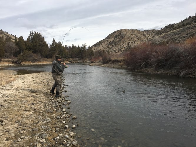 Ruby River Walk-n-Wade In Alder