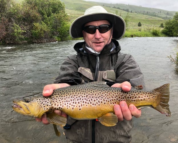 Bighorn River Full-Day Walk-n-Wade In Fort Smith