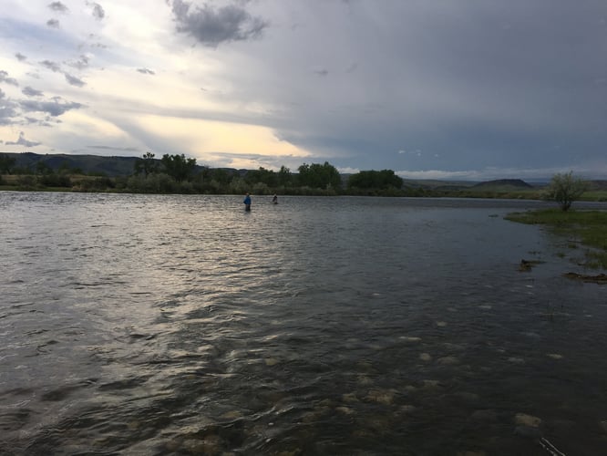 Bighorn River Full-Day Walk-n-Wade