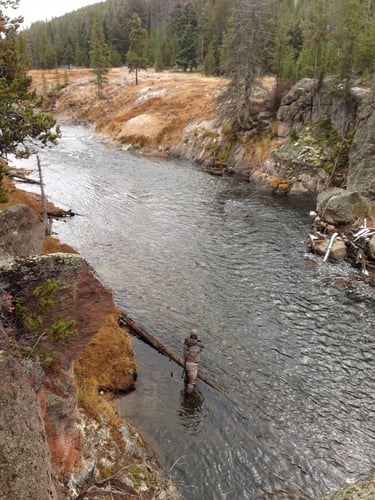 Gibbon River Walk-n-Wade In Yellowstone In Yellowstone National Park