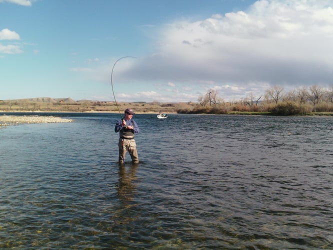 Bighorn River Full-Day Walk-n-Wade In Fort Smith