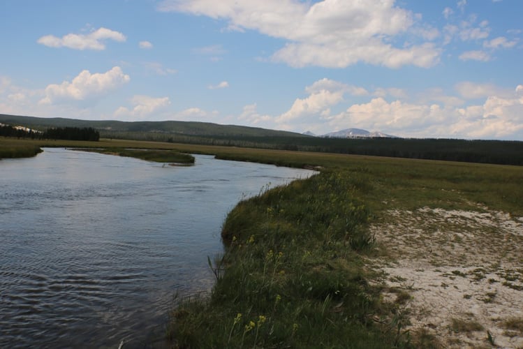 Gibbon River Walk-n-Wade In Yellowstone In Yellowstone National Park