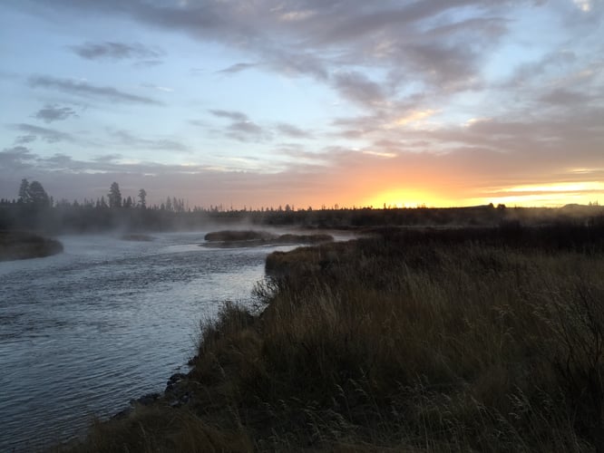 Madison River Walk-n-Wade In Yellowstone In West Yellowstone