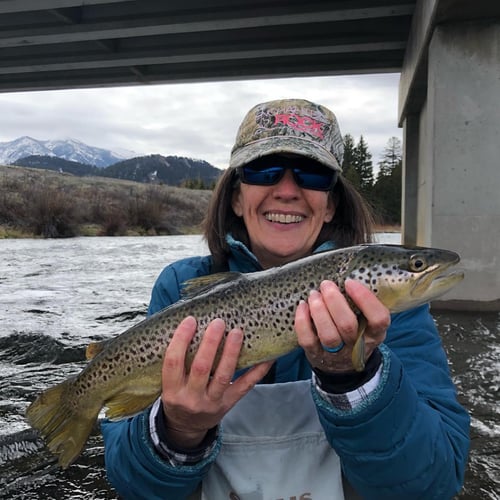 Madison River Float Trip In Madison River