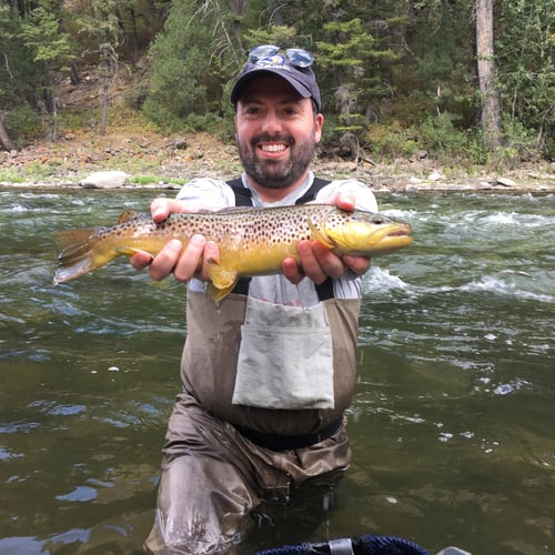 Gallatin River Walk-n-Wade In Yellowstone In Yellowstone National Park