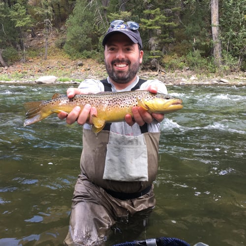 Gallatin River Walk-n-Wade In Yellowstone In Gallatin Gateway