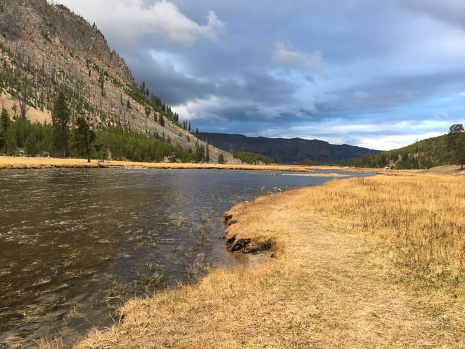 Madison River Walk-n-Wade In Yellowstone In West Yellowstone