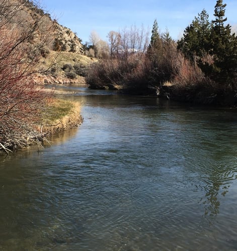 Ruby River Walk-n-Wade In Alder