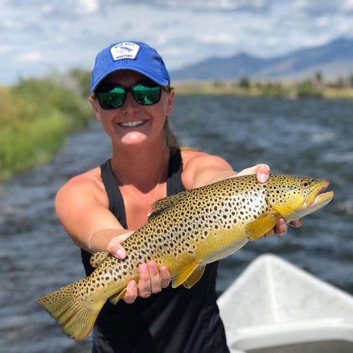 Madison River Float Trip In Madison River