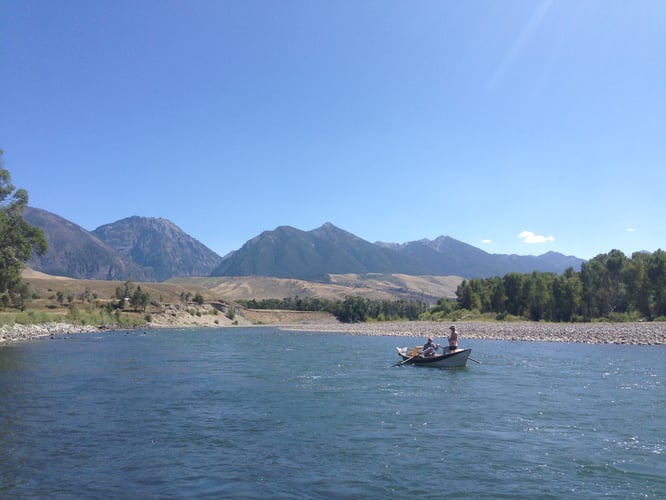 Yellowstone River Full-Day or Half-Day Float