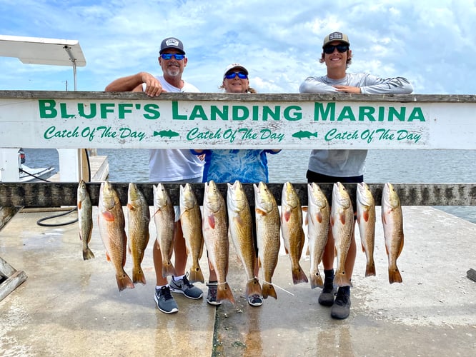 Big Reds, Trout, Flounder, Drum In Corpus Christi